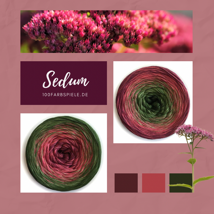 *** SEDUM *** Unikat Classic&PREMIUM - 100Farbspiele