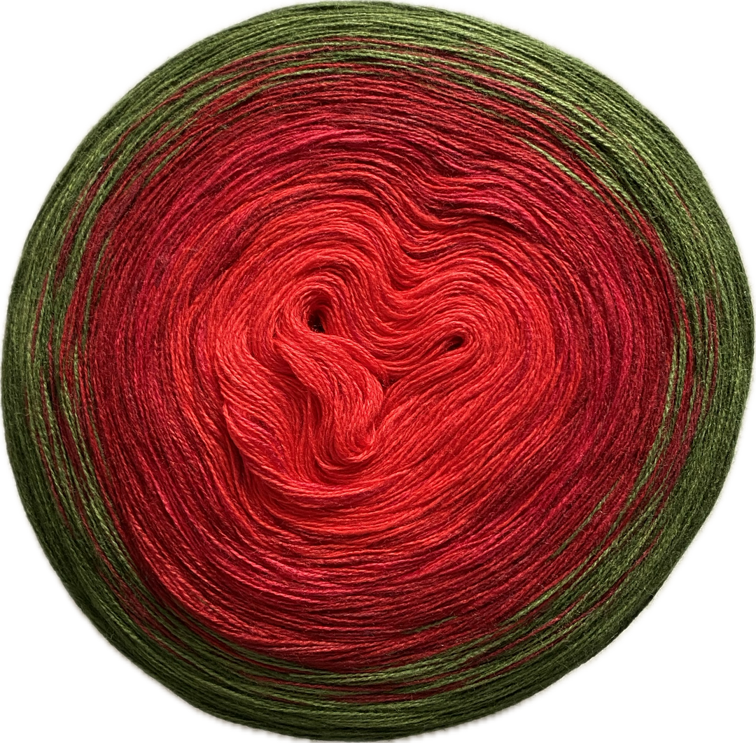 100Farbspiele  Classic&PREMIUM  Amaryllis ** bis 24.12.23 - 100Farbspiele