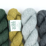 Lade das Bild in den Galerie-Viewer, Erika Knight Wild Wool 10 Farben  170m/100g
