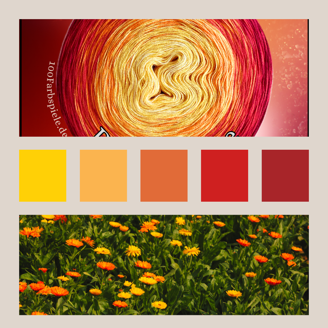 RINGELBLUME   Classic&PREMIUM Bobbel * Sommer 26 * - 100Farbspiele