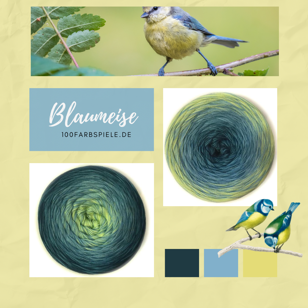 100Farbspiele  Classic&PREMIUM  Blaumeise * endet 30.09.23 *
