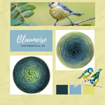 Lade das Bild in den Galerie-Viewer, 100Farbspiele  Classic&amp;PREMIUM  Blaumeise * endet 30.09.23 *
