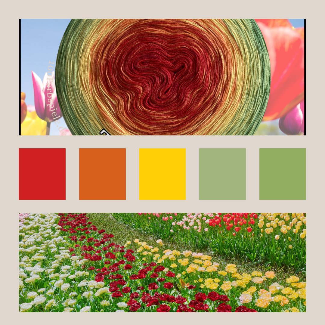 TULPENBEET   Classic&PREMIUM Bobbel * Sommer 26 * - 100Farbspiele