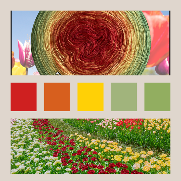 TULPENBEET   Classic&PREMIUM Bobbel * Sommer 26 * - 100Farbspiele