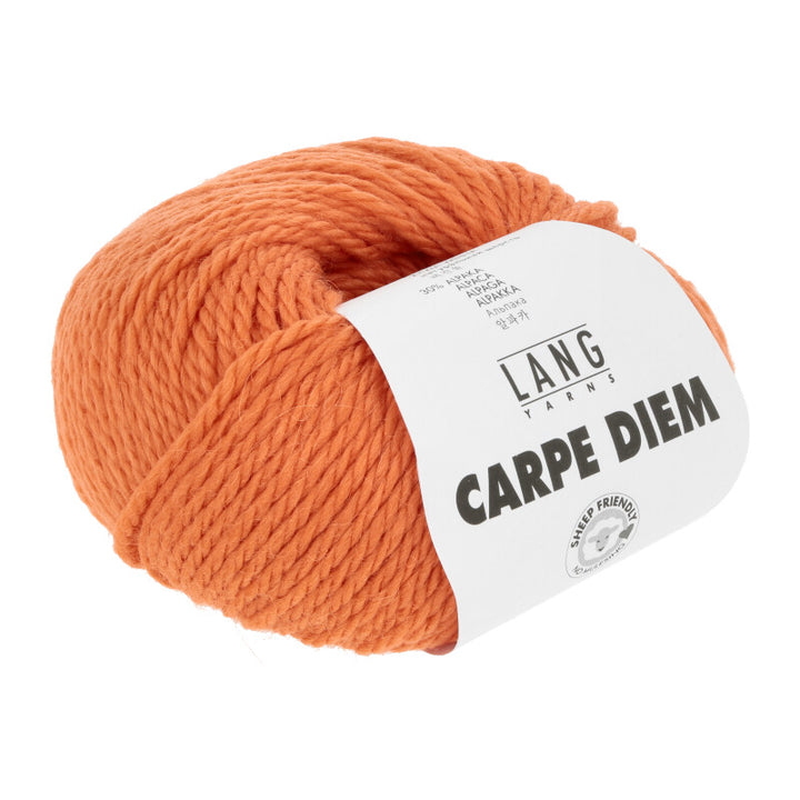 LANGYARNS Carpe Diem 170m/50g in 51 Farben