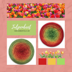 Lade das Bild in den Galerie-Viewer, 100Farbspiele  Classic&amp;PREMIUM  Tulpenbeet * endet 30.09.23 *
