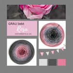 Lade das Bild in den Galerie-Viewer, 100Farbspiele  Classic&amp;PREMIUM Grau Liebt Rosa
