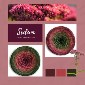 100Farbspiele  Classic&PREMIUM  Sedum