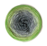 Lade das Bild in den Galerie-Viewer, 100Farbspiele  Classic&amp;PREMIUM  Grau liebt Apfel
