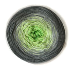 Lade das Bild in den Galerie-Viewer, 100Farbspiele  Classic&amp;PREMIUM  Grau liebt Apfel
