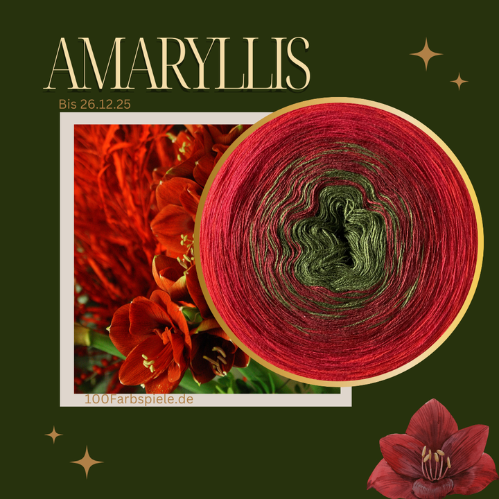 Amaryllis UNIKAT Classic&PREMIUM Bobbel bis 26.12.25