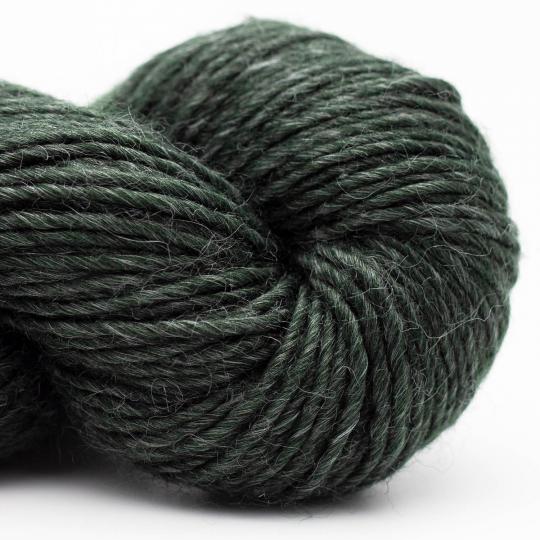 Erika Knight Wild Wool 10 Farben  170m/100g - 100Farbspiele