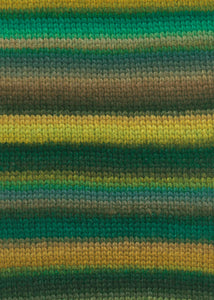 LANGYARNS Cloud weiche Merinowolle Multicolor
