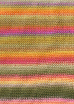 Lade das Bild in den Galerie-Viewer, LANGYARNS Cloud weiche Merinowolle Multicolor
