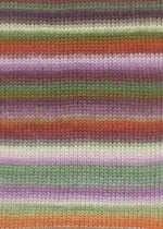 Lade das Bild in den Galerie-Viewer, LANGYARNS Cloud weiche Merinowolle Multicolor
