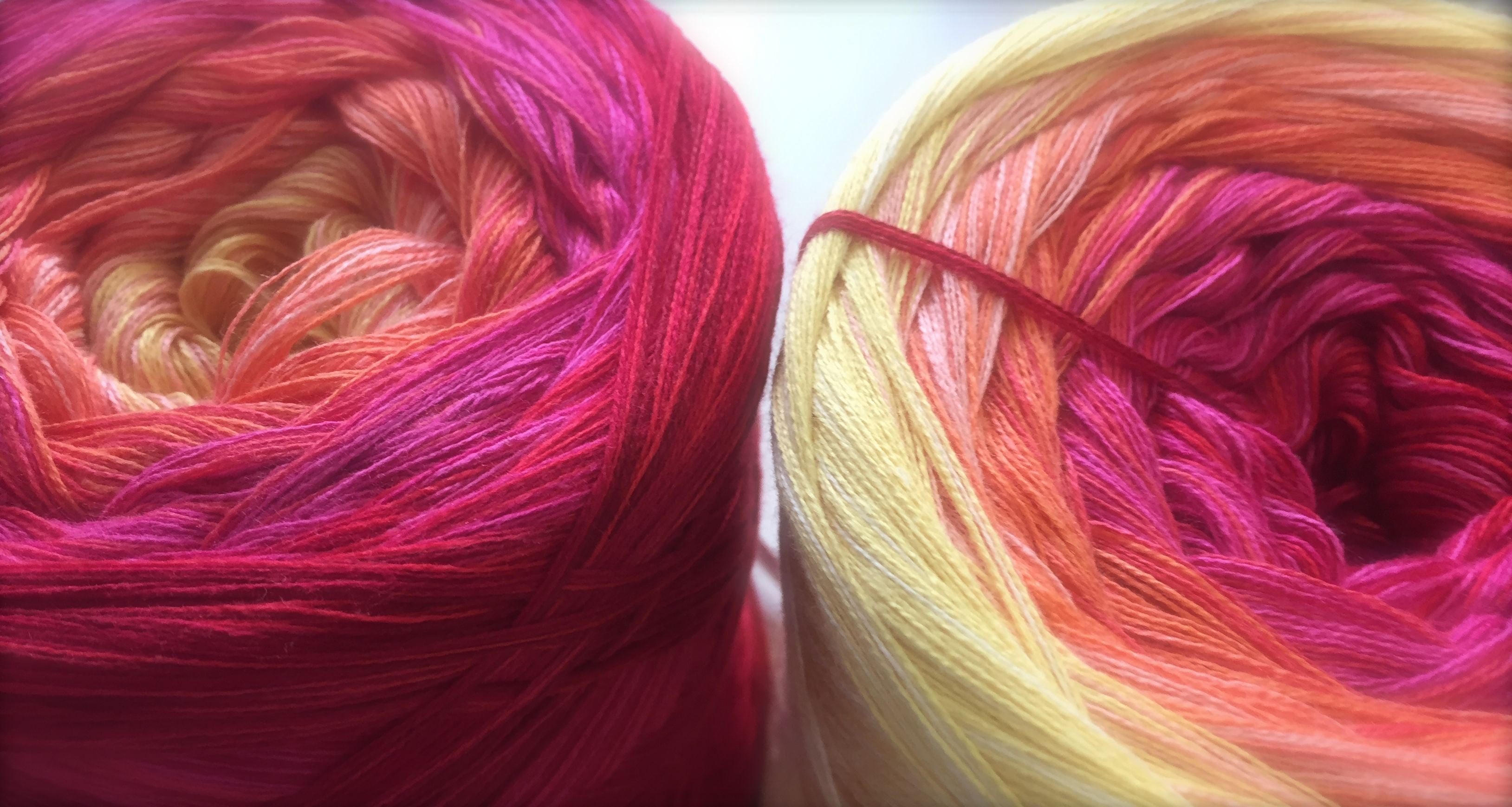 100Farbspiele Classic&PREMIUM * Gerbera *